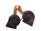 Moneybest1 613 Jaguar Horn Pair Low