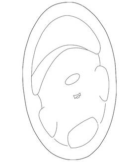 Yl8z-78043b13-gaa Ford Genuine Steering Wheel