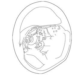 48430-6lw5a Nissan Genuine Steering Wheel