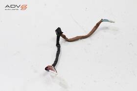 8425006850b0 Toyota 2019 - 2022 Avalon Steering Wheel Switch Wire Wiring Harness Oem