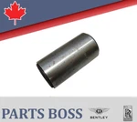 Bentley Rolls-royce 1955-1968 Oem New Road Spring Bush Shackle Rear. Fixed Price $219.55.