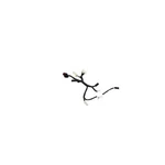 Mopar 68436027AA Harness. Fixed Price $72.03.