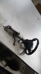 Steering Column Wagon Tourx Fits 18-20 Regal 459937. Fixed Price $106.07.