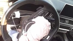 S5 Audi 2018 Steering Wheel 30646425. Fixed Price $431.43.