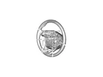 Genuine Ford Cover DP5Z-3D758-MA. Fixed Price $367.09.