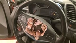 Steering Column Manual Tilt And Telescopic Opt N37 Fits 19-20 Impala 742277. Fixed Price $299.90.