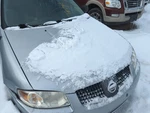 2004-2006 Nissan Sentra Hood Oem YH8PB. Fixed Price $957.62.