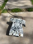 Bmw E10 - 1600,2002, 2002TII, Steering Column Cover. Fixed Price $99.99.
