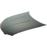 Hood Fits 04-06 Sentra 249115. Fixed Price $688.00.