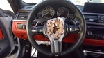 428I Bmw 2014 Steering Wheel 711920. Fixed Price $294.99.