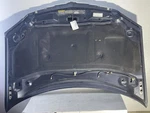 Hood Fits 07-08 Pacifica 1716693. Fixed Price $507.39.