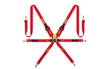 Momo Corsa 6 Points Harness Red Fia MO01255120001 "us Dealer". Fixed Price $385.00.