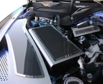 2015-2020 Mustang Fuse Box Cover Brushed Stainless W/carbon Fiber Top Plate. Fixed Price $89.95.