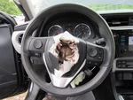 Corolla 2018 Steering Wheel 1048836. Fixed Price $115.12.