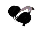 Genuine Gm Dual Note Horn 23343361. Fixed Price $42.95.