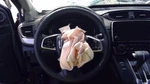 Used Steering Wheel Fits: 2021 Honda Cr-v Grade. Fixed Price $126.25.