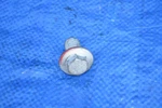 07-13 Mini Cooper Steering Wheel Hex Bolt R56 R55 R57 R58 R59 Oem. Fixed Price $7.00.