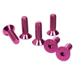 Nrg Innovations SWS-100PK Pink Conical Steering Wheel Screw Kit. Fixed Price $21.72.