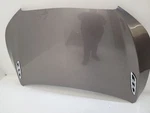 2010 - 2013 Buick Lacrosse Hood Metallic. Fixed Price $759.94.