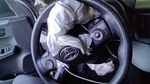Used Steering Wheel Fits: 2015 Toyota RAV4 Grade. Fixed Price $194.90.