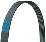 Serpentine Belt-turbo/aftercooled/intercooled Dayco 5100585. Fixed Price $76.02.
