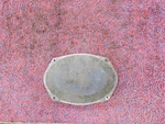 Dodge Charger Scat Pack Oem 09-25 Front Rear Door Sound Audio Speaker. Fixed Price $19.99.