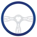 United Pacific 88242 Steering Wheel Blue, With Chrome Spokes, "flame". Fixed Price $250.48.
