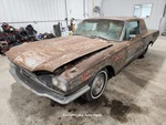 Steering Column Gray At Swing Away Style Fits 1966 Ford Thunderbird 1335989. Fixed Price $125.00.